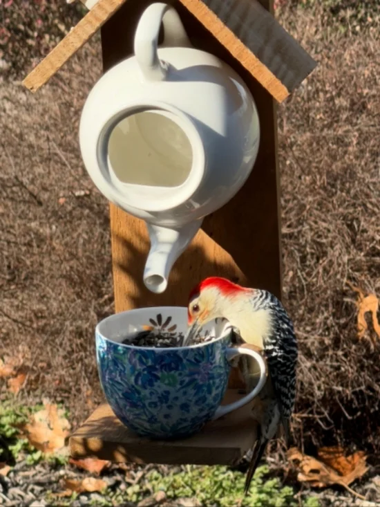 Rustic Wooden Handmade Bird Feeder Hummingbird Teapot - Picture 12 of 16